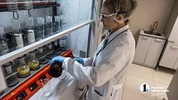 Южноуральский производитель кормов для кошек и собак увеличит выпуск продукции