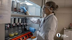Южноуральский производитель кормов для кошек и собак увеличит выпуск продукции