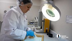 Южноуральский производитель кормов для кошек и собак увеличит выпуск продукции