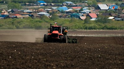 2,4 млн тонн зерна — и ни одного нормированного дня: отправились на посевную к двум фермерским династиям