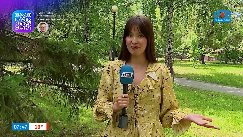 Мнения челябинцев в опросе «День библиотек»
