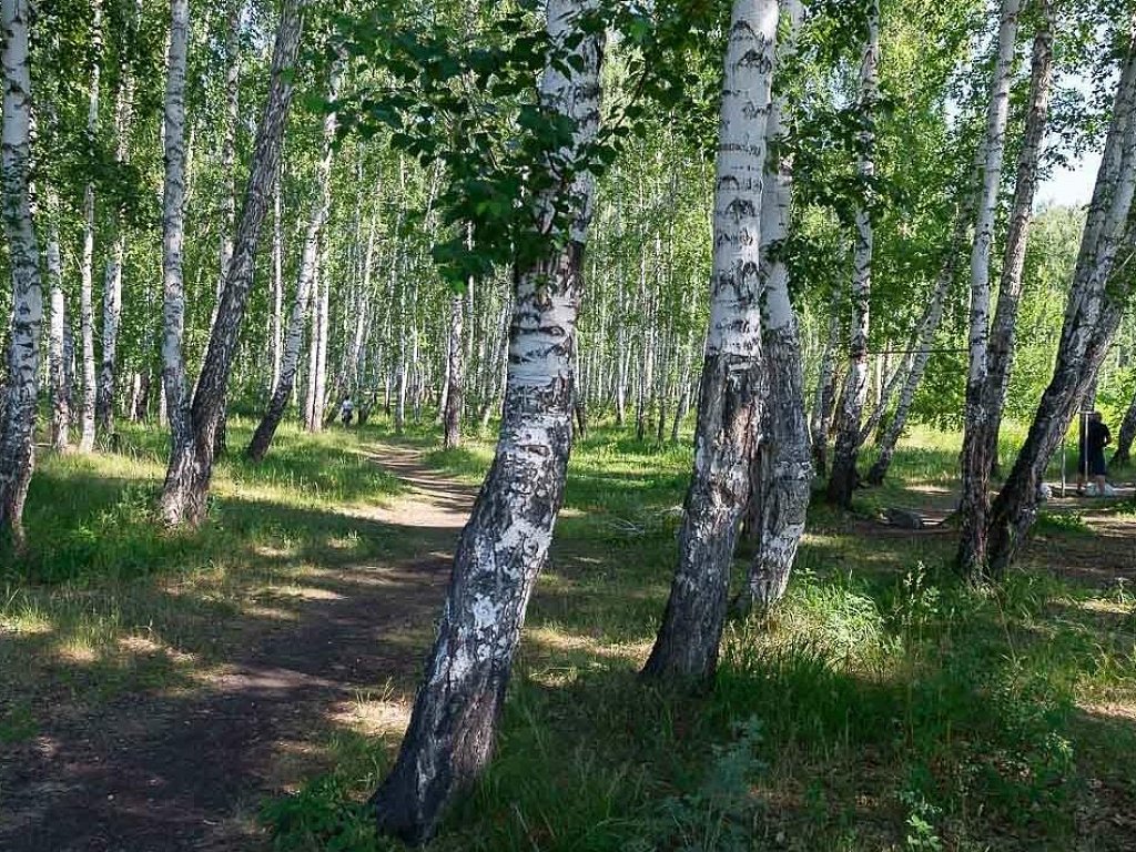 В Челябинской области продлили штормовое предупреждение до 29 мая
