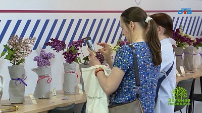 В Челябинске состоялась первая городская выставка сирени