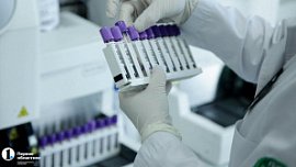 Южноуральские зумеры стали чаще сдавать ДНК-тесты