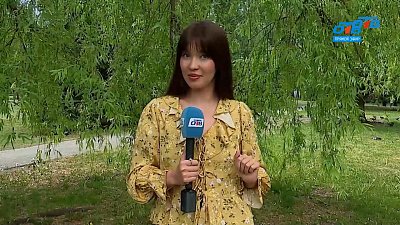 Откровения челябинцев в опросе «Гадание на ромашке»