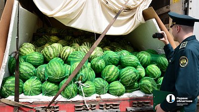 На Южный Урал прибыли первые 40 тонн арбузов из Казахстана