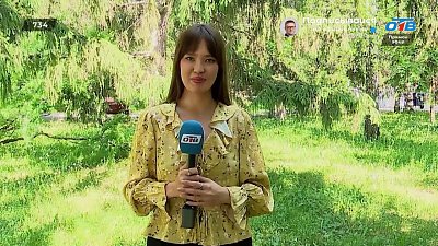 Воспоминания челябинцев в опросе «День защиты детей»