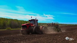 Россельхознадзор выдал предостережения трем фермерам Южного Урала из-за пестицидов