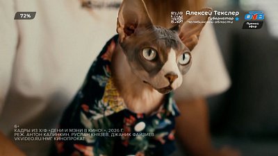 Семейные новинки в рубрике «Идем в кино»