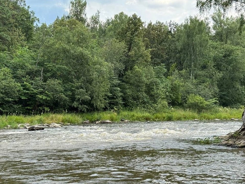 Два участка на Южном Урале получат статус особо охраняемых
