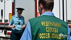 В Челябинскую область ввезли 2,5 тысячи тонн овощей и фруктов