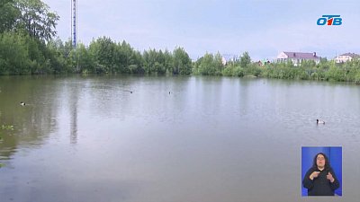 В Челябинске в пруд у кардиоцентра запустили карпов