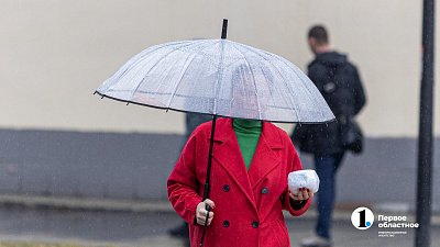 Грозы и порывистый ветер ждут жителей Челябинской области 11 июня