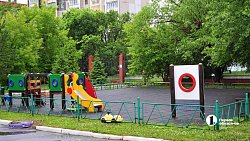 Лиса с тремя щенками поселилась на площадке дома малютки в Челябинске