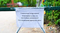 Лиса с тремя щенками поселилась на площадке дома малютки в Челябинске