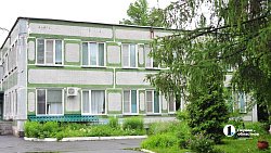 Лиса с тремя щенками поселилась на площадке дома малютки в Челябинске