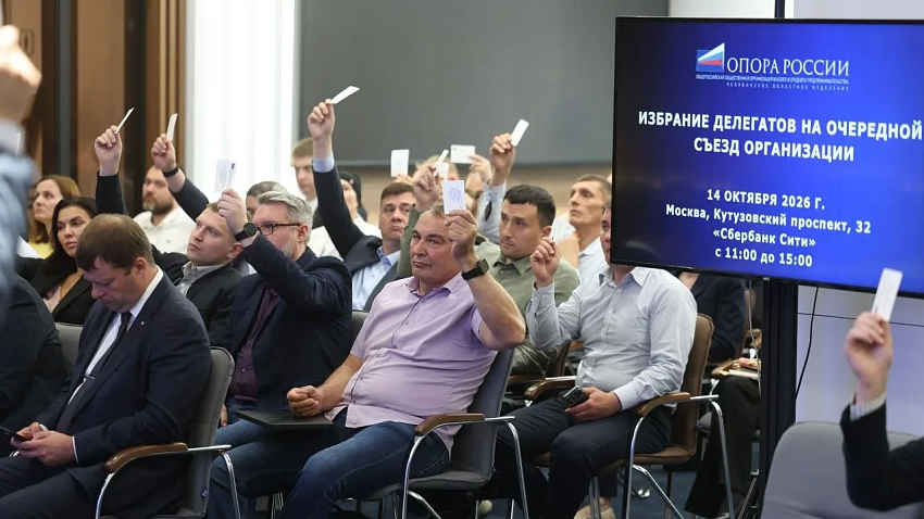 Главой челябинской «Опоры России» переизбран Дмитрий Клеутин