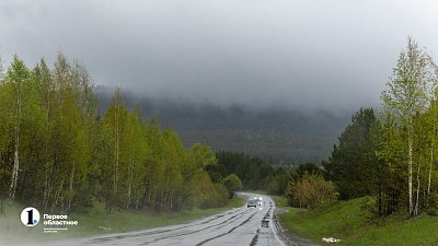 Резкий перепад суточной температуры и туманы ждут южноуральцев 15 июня