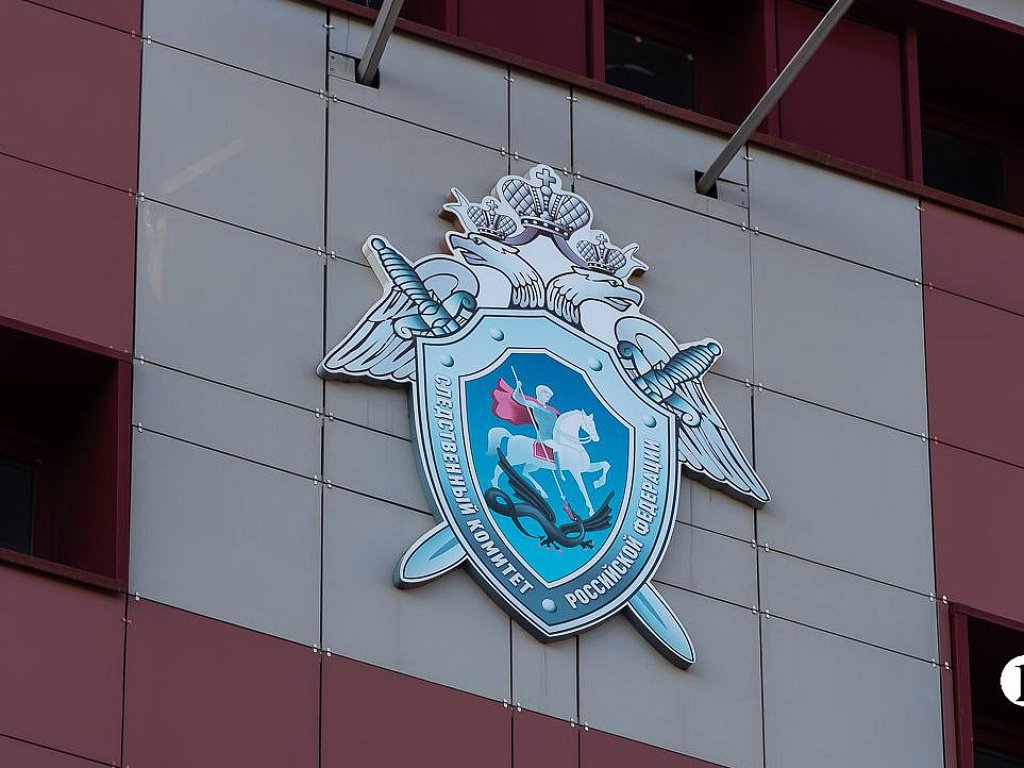 Челябинца осудили за нападения на пожилых женщин 25‑летней давности