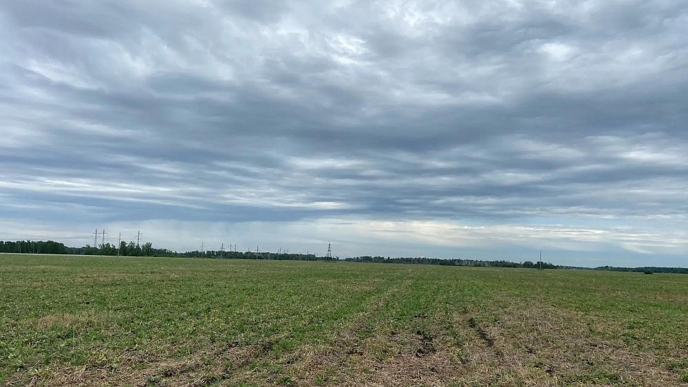 В Троицком районе ввели в оборот 9 гектаров пашни