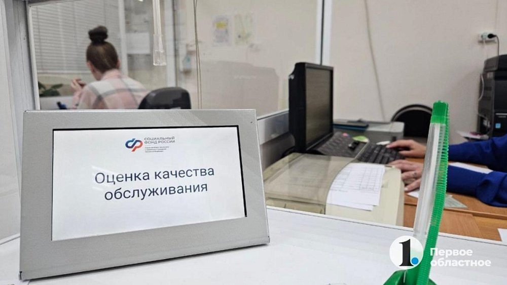 В Челябинской области создадут путеводитель по мерам социальной поддержки