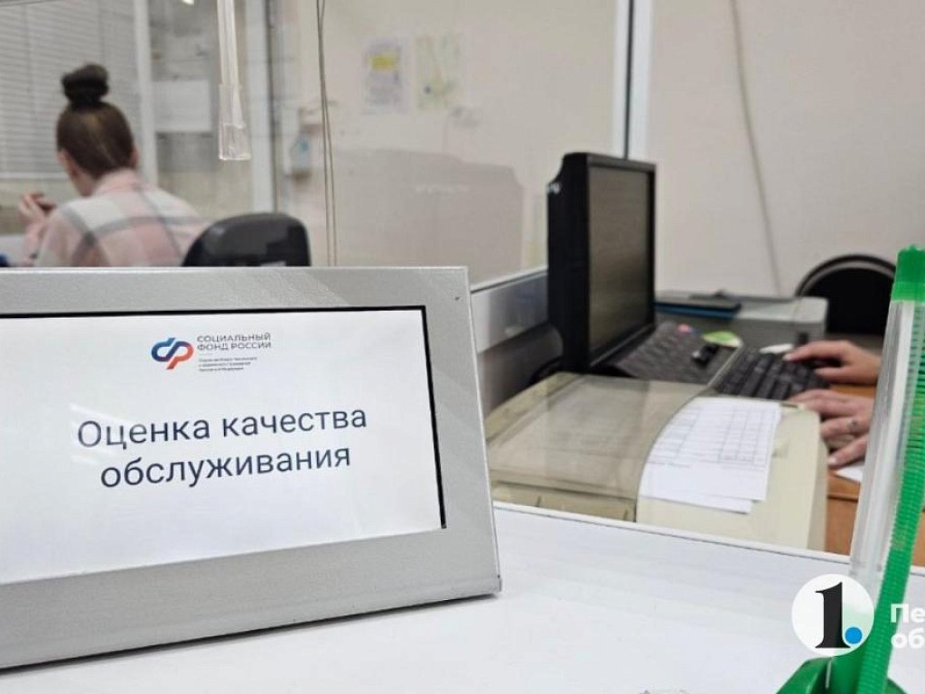 В Челябинской области создадут навигатор по мерам социальной поддержки