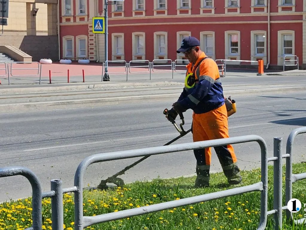 В Челябинске усилят работу по окашиванию травы
