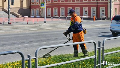 В Челябинске усилят работу по окашиванию травы