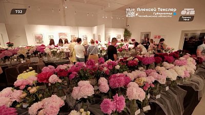Праздник любимых цветов в сюжете «Фестиваль пионов»