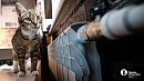 В Челябинской области усилят контроль над подготовкой к отопительному сезону