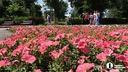 Экзотические деревья появятся в парке Магнитогорска