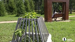 Экзотические деревья появятся в парке Магнитогорска