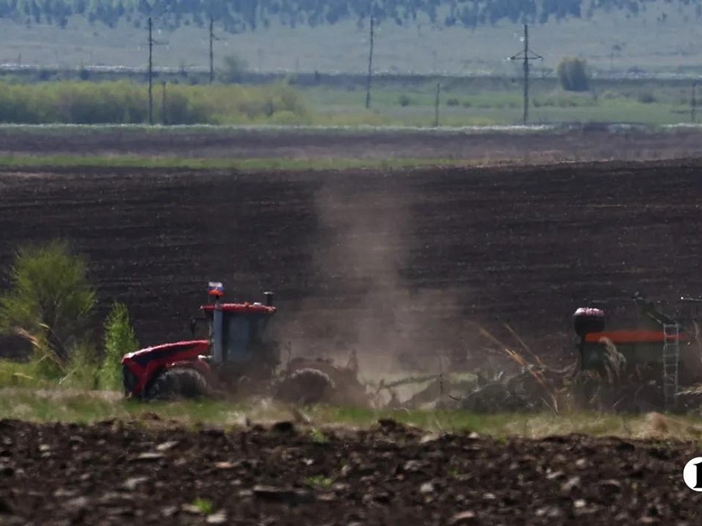 Сельхозпроизводство на Южном Урале выросло на 8%