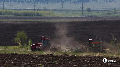 Сельхозпроизводство на Южном Урале выросло на 8%