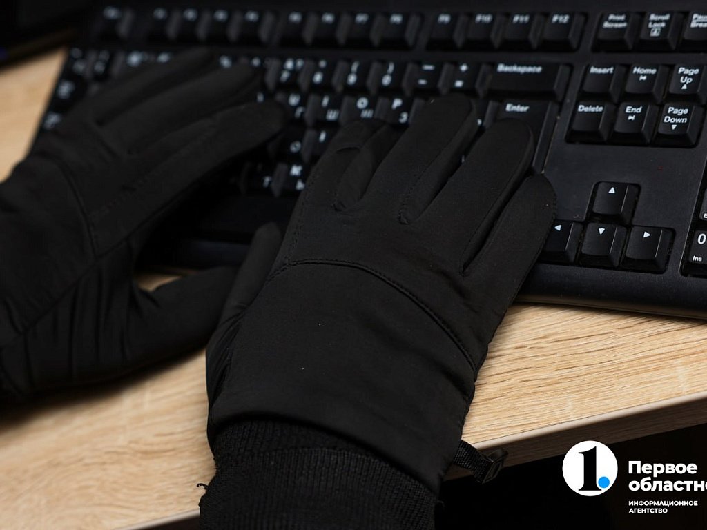 В Челябинской области на четверть сократилось число IT-преступлений