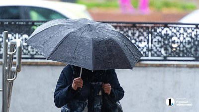 В Челябинскую область 27 июня вернутся сильные дожди