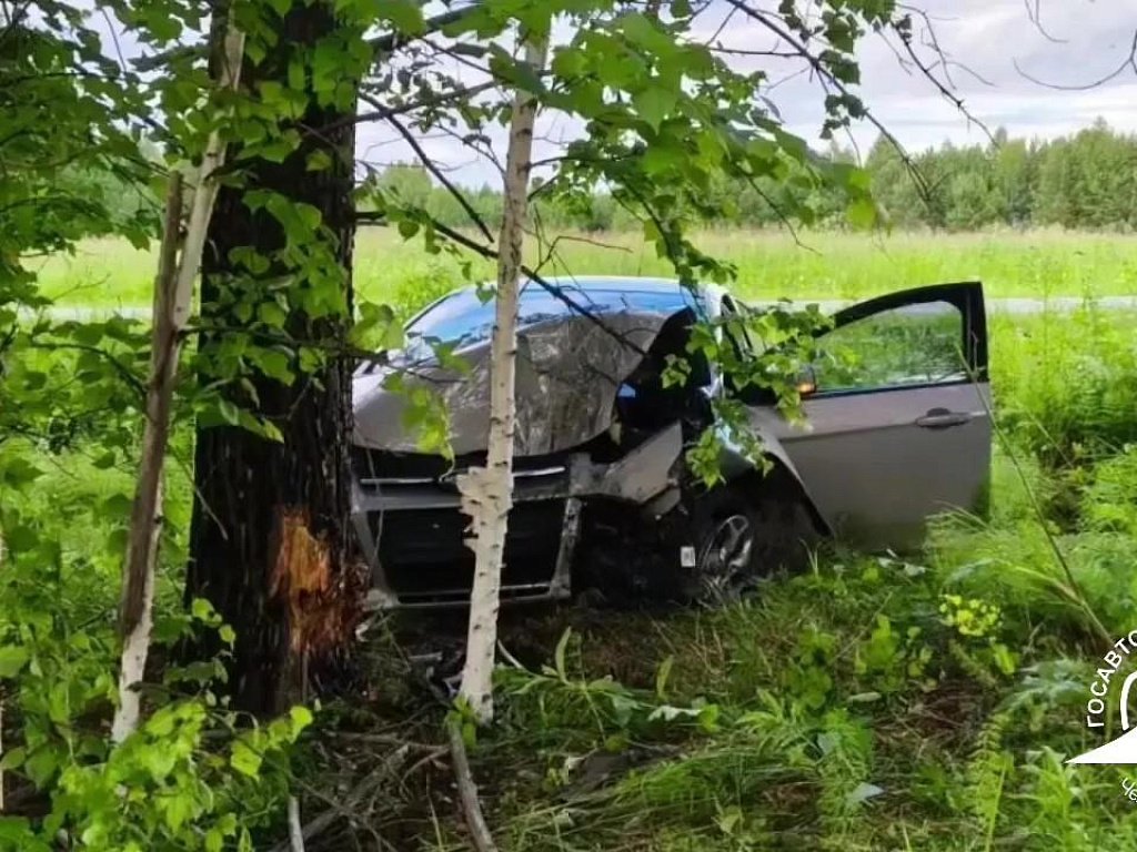 Водитель Ford погиб, врезавшись в дерево в Челябинской области