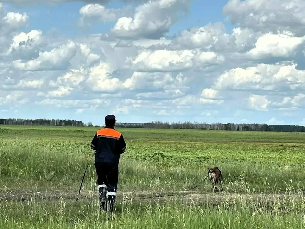 Под Троицком в траве нашли тело пропавшей 84‑летней женщины