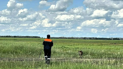 Под Троицком в траве нашли тело пропавшей 84‑летней женщины