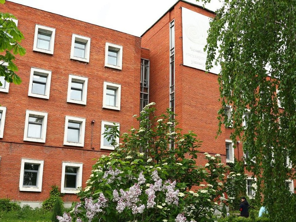 Челябинские химики создают материал для аккумуляторов нового поколения
