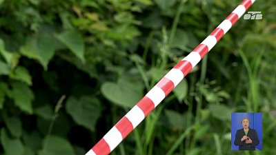 В Снежинске обновляют бульвар Свердлова