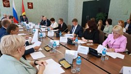Челябинские парламентарии защитили частные дома от принудительной реновации