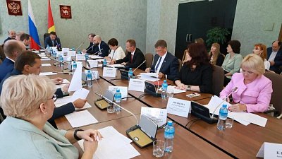 Челябинские парламентарии защитили частные дома от принудительной реновации