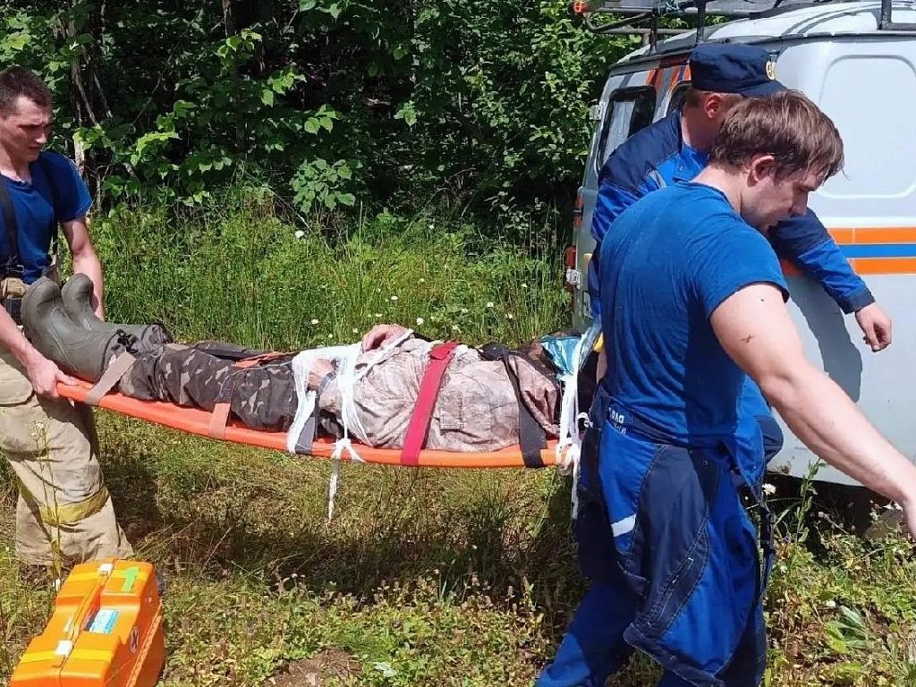 В Аше 77-летний мужчина попал в больницу после сбора черники