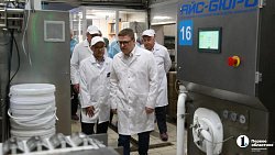 В Троицке могут производить до 50 тонн мороженого в сутки