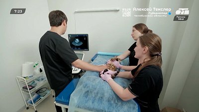 Все о профессии ветврача в рубрике «Усы, лапы и хвост»