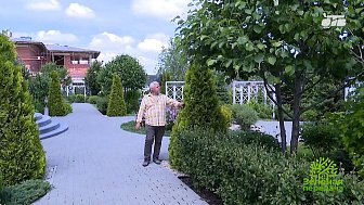 Основные принципы формирования садового стиля
