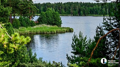 На курортах Челябинской области машины туристов блокируют вывоз отходов