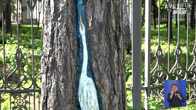 Лес в Снежинске превращают в арт-объект
