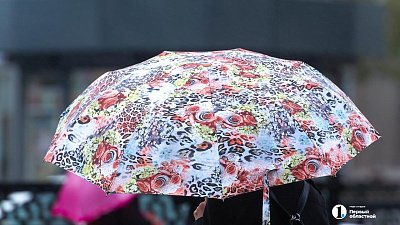 Жителей Челябинской области предупредили о шквалах и ливнях 15 июля